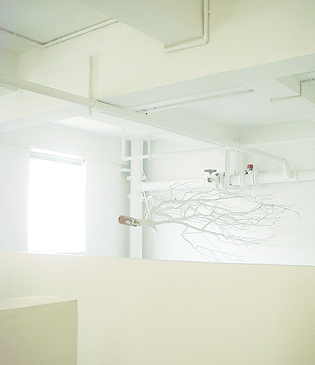 sn07.jpg