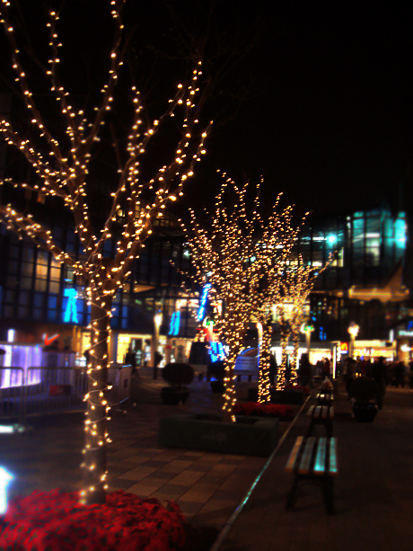 dsc00411.jpg