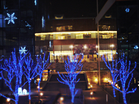 dsc00475.jpg