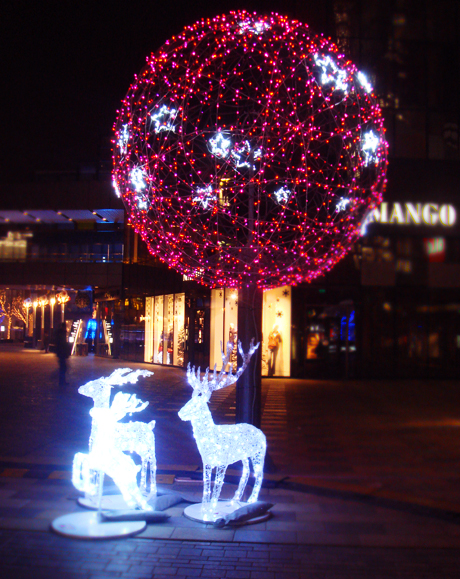 dsc00502.jpg