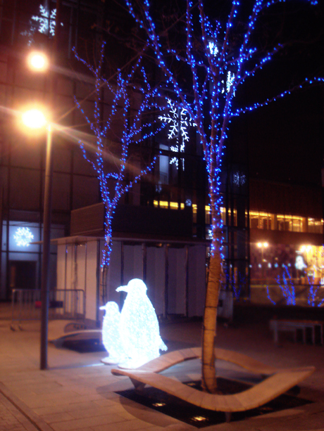 dsc00545.jpg